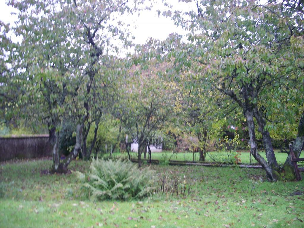 La Demeure Avesnoise Bed & Breakfast Wignehies Luaran gambar